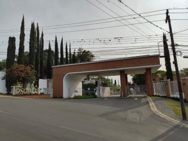 Casa em Condomínio de 261m² para Alugar - Ponta Grossa - Ref. 528056-5