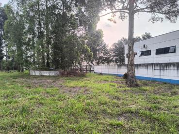 Terreno à Venda - Ref. 553061-4