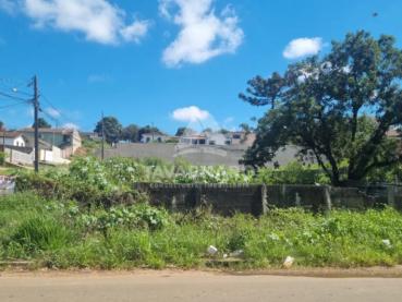 Terreno de 490m² à Venda - Ponta Grossa - Ref. 468330-4