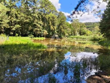 Terreno de 3.673m² à Venda - Ponta Grossa - Ref. 512477-4