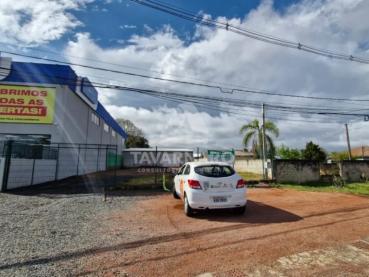 Armazém / Barracão / Depósito / Galpão de 250m² para Alugar - Ponta Grossa - Ref. 522074-5