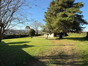 Casa de 1.814m² para Alugar, 3 quartos - Ponta Grossa - Ref. 527383-5