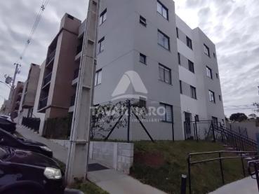 Apartamento para Alugar em Ponta Grossa, 528263-5
