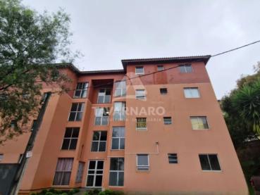 Apartamento com 2 quartos para Alugar - Ponta Grossa - Ref. 528456-5