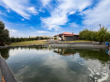 Terreno de 10.000m² à Venda - Ponta Grossa - Ref. 535436-4