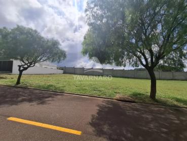 Terreno de 300m² à Venda - Ponta Grossa - Ref. 535708-4