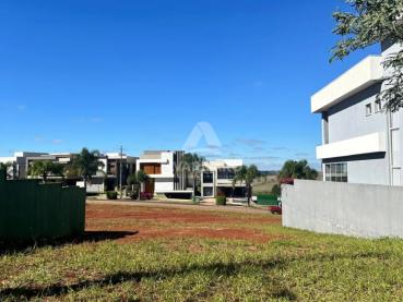 Terreno de 313m² à Venda - Ponta Grossa - Ref. 535750-4