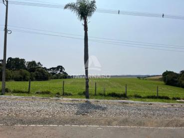 Sala Comercial de 300m² à Venda - Ponta Grossa - Ref. 535812-4