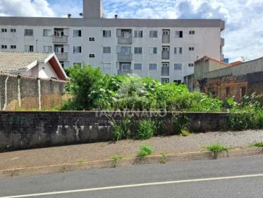 Terreno de 448m² à Venda - Ponta Grossa - Ref. 535919-4