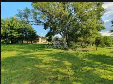 Terreno de 32.000m² à Venda - Tibagi - Ref. 536038-4