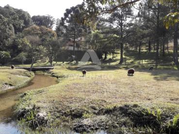 Terreno de 82.000m² à Venda - Ponta Grossa - Ref. 536157-4