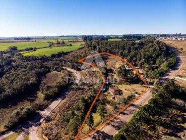 Terreno de 29.135m² à Venda - Ponta Grossa - Ref. 536523-4