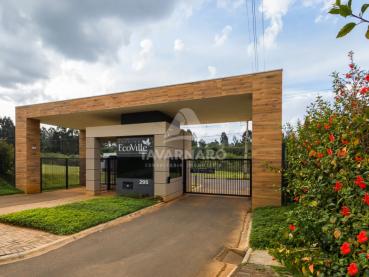 Terreno de 252m² à Venda - Ponta Grossa - Ref. 536666-4
