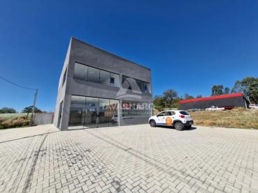 Sala Comercial para Alugar - Ref. 536895-5