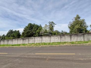 Terreno de 4.081m² para Alugar - Ponta Grossa - Ref. 536920-5