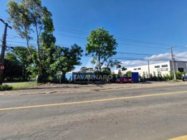 Terreno de 1.441m² para Alugar - Ponta Grossa - Ref. 536922-5