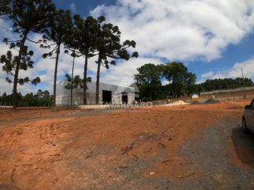 Armazém / Barracão / Depósito / Galpão para Alugar - Ref. 537156-5