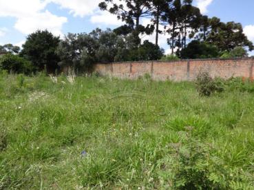 Terreno de 505m² para Alugar - Ponta Grossa - Ref. 537327-5
