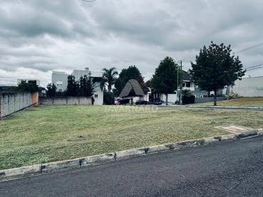 Terreno de 463m² à Venda - Ponta Grossa - Ref. 538035-4