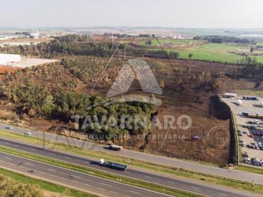Terreno de 10.000m² à Venda - Ponta Grossa - Ref. 539274-4