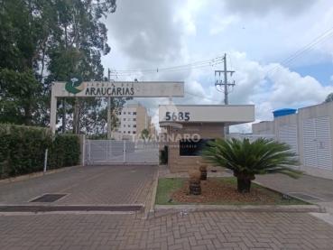 Apartamento com 2 quartos para Alugar - Ponta Grossa - Ref. 539550-5