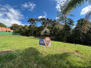 Terreno de 225m² à Venda - Ponta Grossa - Ref. 547485-4