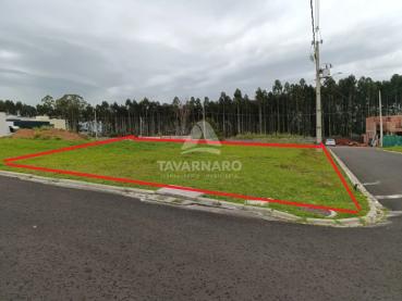 Terreno de 260m² à Venda - Ponta Grossa - Ref. 548072-4