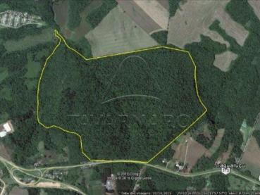 Terreno de 1.379.400m² à Venda - Ponta Grossa - Ref. 548300-4