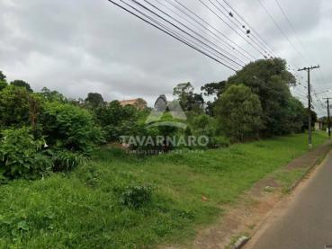 Terreno de 9.504m² à Venda - Ponta Grossa - Ref. 548329-4