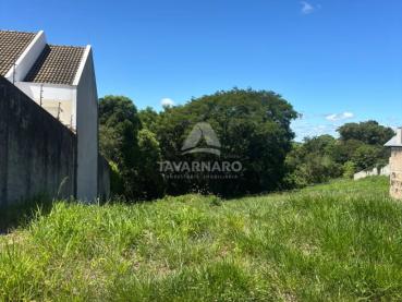 Terreno de 495m² à Venda - Ponta Grossa - Ref. 548404-4