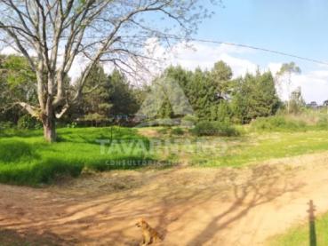 Terreno de 465m² à Venda - Ponta Grossa - Ref. 550663-4