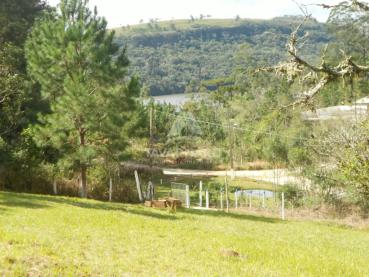 Terreno de 9.561m² à Venda - Ponta Grossa - Ref. 552835-4
