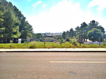Terreno de 1.000m² à Venda - Ponta Grossa - Ref. 458736-4