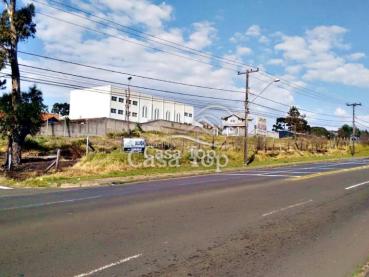 Terreno de 495m² para Alugar - Ponta Grossa - Ref. 459680-5