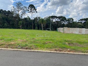 Terreno de 366m² à Venda - Ponta Grossa - Ref. 489880-4