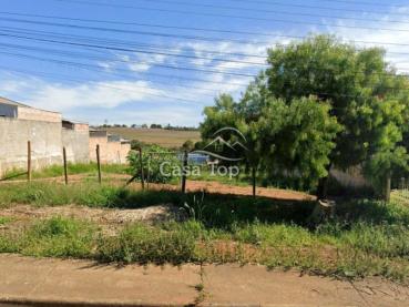 Terreno de 429m² à Venda - Ponta Grossa - Ref. 528743-4