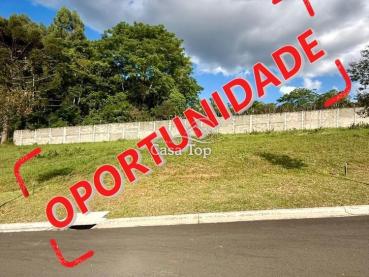 Terreno de 250m² à Venda - Ponta Grossa - Ref. 533127-4