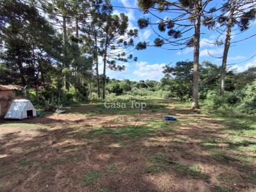 Terreno de 2.300m² à Venda - Carambei - Ref. 543472-4