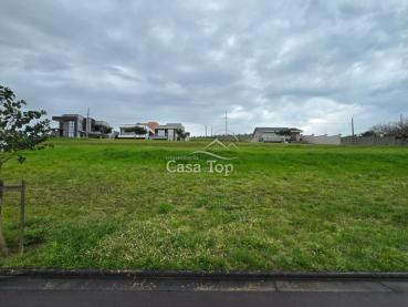 Terreno de 300m² à Venda - Ponta Grossa - Ref. 548539-4