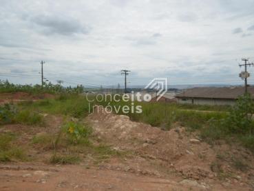 Terreno de 1.100m² para Alugar - Ponta Grossa - Ref. 129204-5