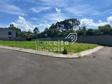 Terreno de 260m² à Venda - Ponta Grossa - Ref. 501798-4