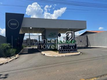 Terreno de 230m² à Venda - Ponta Grossa - Ref. 501808-4