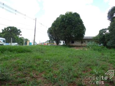 Terreno de 1.342m² à Venda - Ponta Grossa - Ref. 501831-4