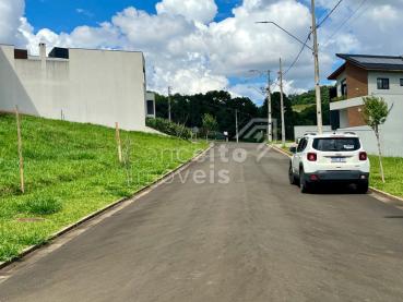 Terreno de 302m² à Venda - Ponta Grossa - Ref. 511981-4