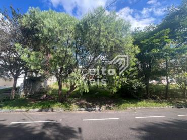Terreno de 450m² à Venda - Ponta Grossa - Ref. 512365-4