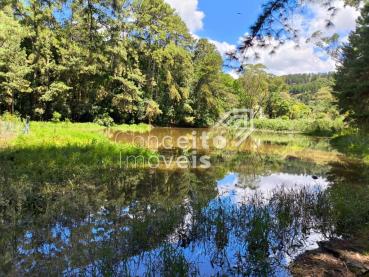 Chácara de 3.943m² à Venda - Ponta Grossa - Ref. 512366-4