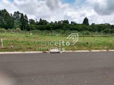 Terreno de 282m² à Venda - Ponta Grossa - Ref. 512451-4