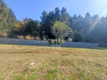 Terreno de 200m² à Venda - Ponta Grossa - Ref. 517270-4