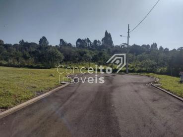 Terreno à Venda em Ponta Grossa, 517730-4