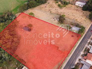 Terreno de 10.050m² para Alugar - Ponta Grossa - Ref. 520520-5